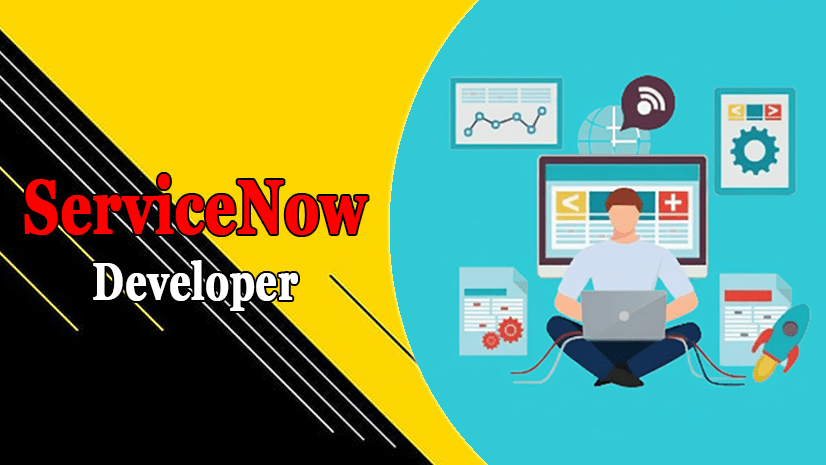 ServiceNow Developer